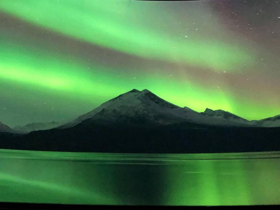 Northern Light טרומסה מראה חיצוני תמונה